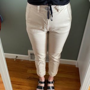 Everlane The Slim-Leg Crop Short